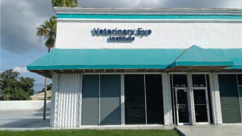 Veterinary Eye Institute Deerfield Beach: A Complete Guide for Pet Owners