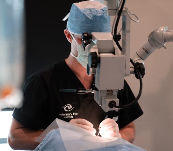 VEI-JoinOurTeam-2026Image VEI Join Our Team