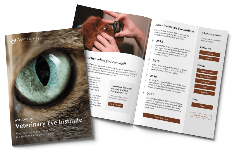 VEI-careers-digital-magazine VEI-careers-digital-magazine